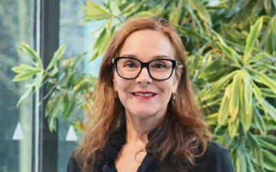 Transform or be transformed: why digital strategy is now central to university survival